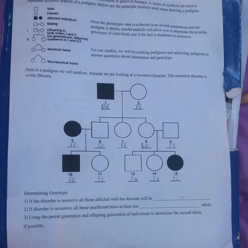 Please help me.I’m kinda confused on this and don’t know what to put-example-1