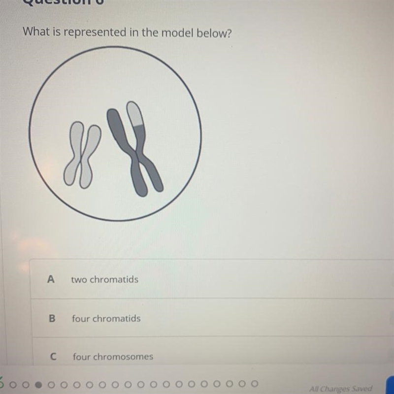 Please answer this the last choice is four chromosomes pairs-example-1