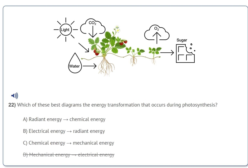 Which of these best diagrams the energy transformation that occurs during photosynthesis-example-1