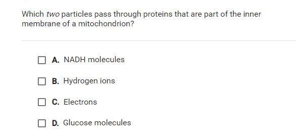 Question is in the image-example-1