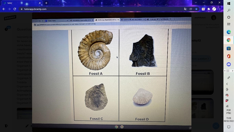 the following chart lists taxonomy classification for seven organisms. some have just-example-2