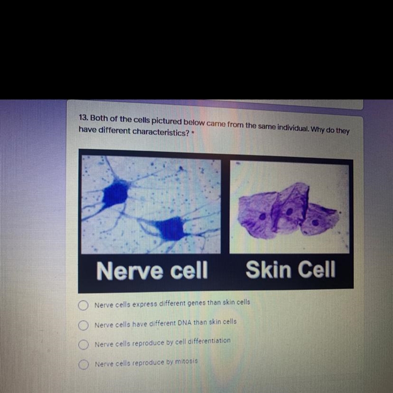 Both of the cells below came from the same individual. Why do they have different-example-1