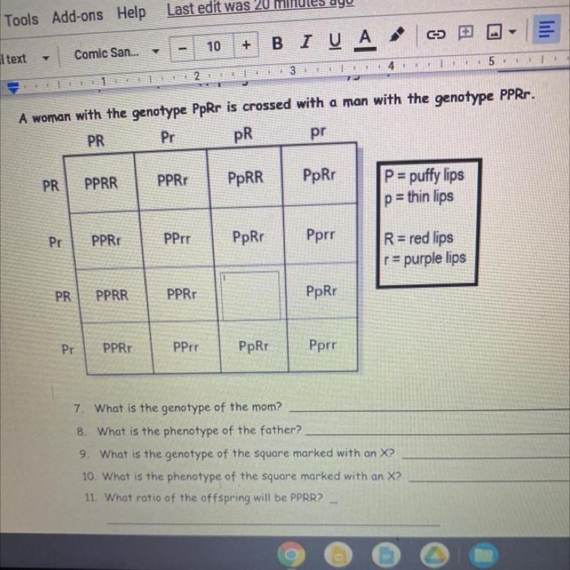 Genotype and phenotype:A woman with the genotype PpRr is crossed with a man with the-example-1