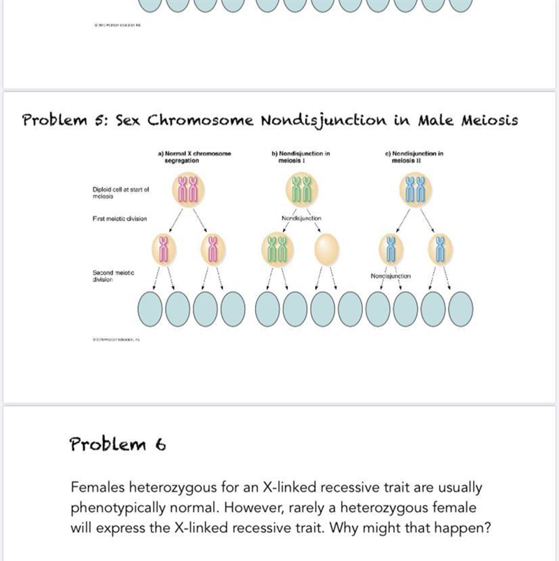 Complete the chart to show the daughter cells that would result from each type of-example-1