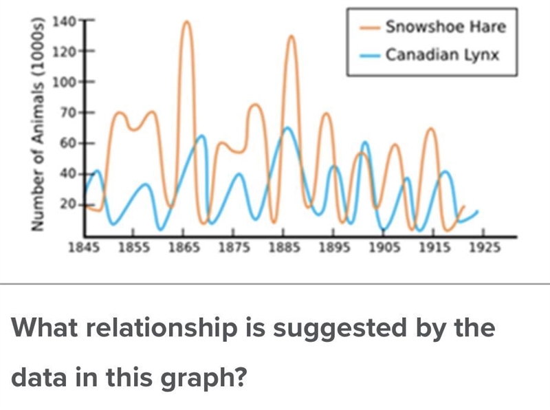 Can you help me figure out what relationship is suggested by the graph-example-1