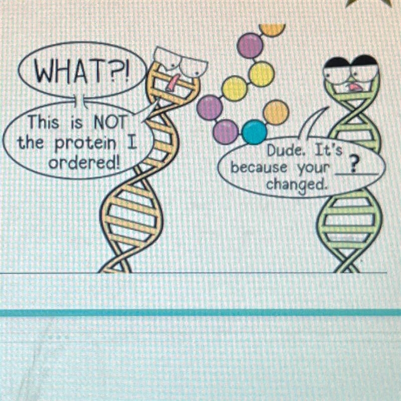 Which term belongs in the blank in the cartoon? A. RNA B. Protein C. DNA-example-1