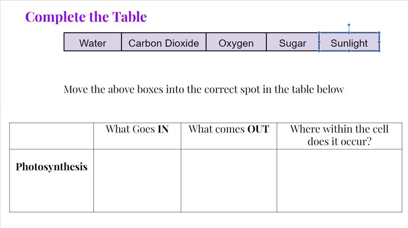 What goes in What goes outWhere within the cell does it occur? All of these questions-example-1