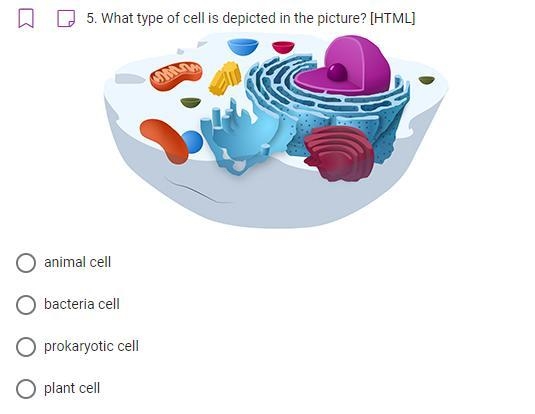 URGENT!!! What type of cell is depicted in the picture? [HTML] 1. Animal Cell 2. Bacteria-example-1