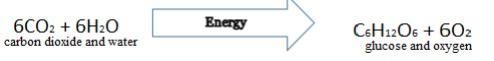 Mr. Barney was teaching his Biology class about cellular energy and put this equation-example-1