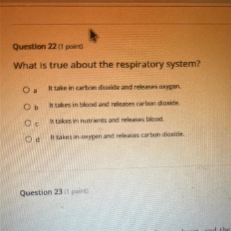 Help me decide this !-example-1