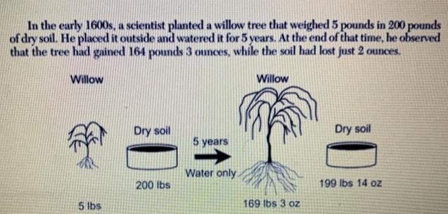 From this, he concluded that plants gain weight from the water they take in. His conclusions-example-1