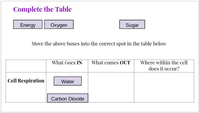 What goes in forWhat goes outand Where within the cell does it occur?All of these-example-1