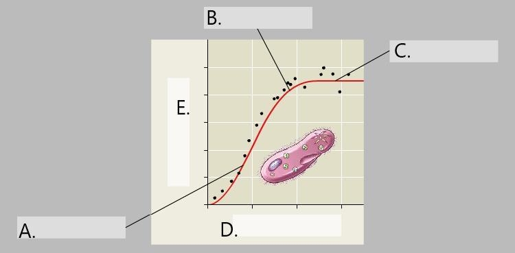 Label the graph below with the appropriate phrase.Question 11 options:Population grows-example-1