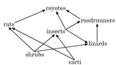 If the organisms in this food web were arranged in a food pyramid, which organism-example-1