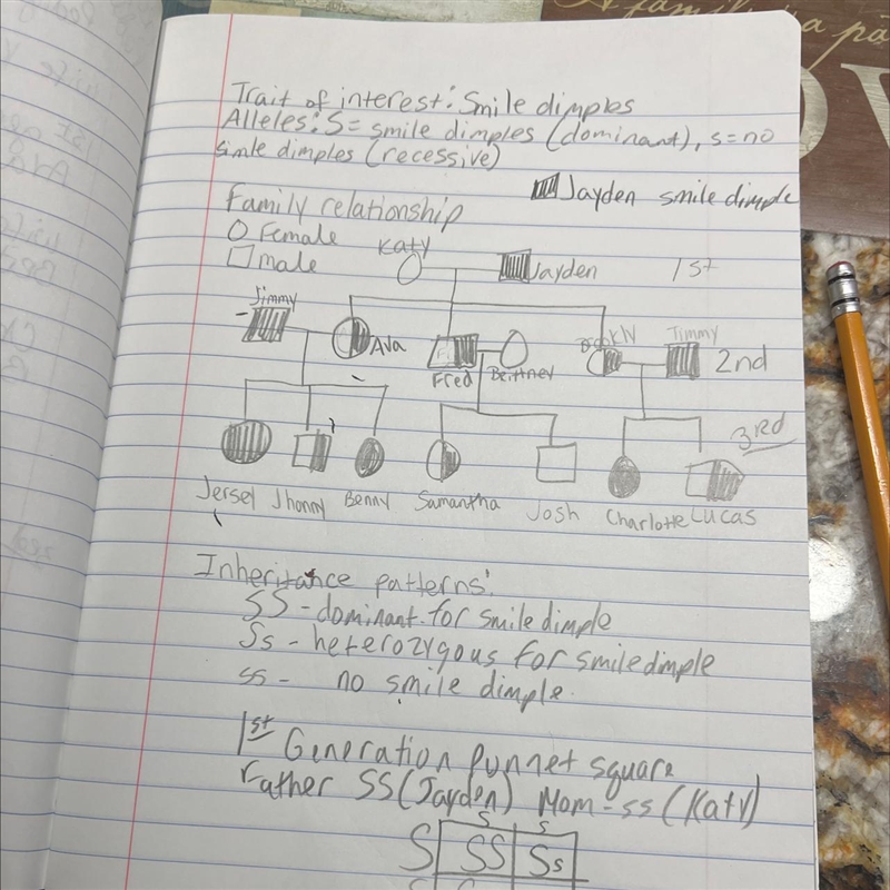 I need help making punnet squares for 1 and 2 and 3rd generation please-example-1