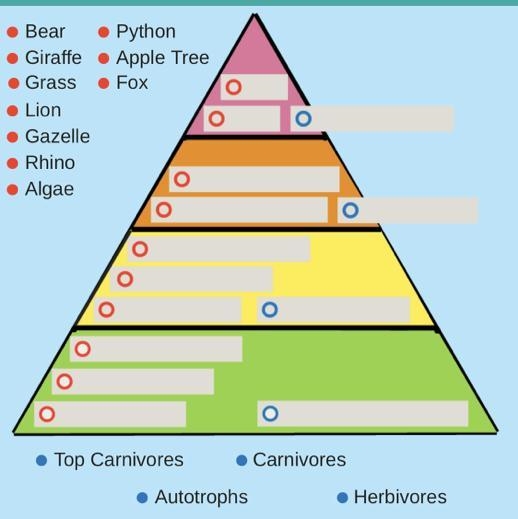 I need help with the food Pyramid ? Pleasee help-example-1