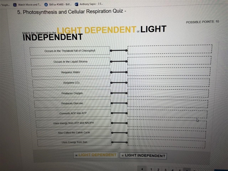 Match the Statement to the LIGHT DEPENDENT or LIGHT INDEPENDENT-example-1