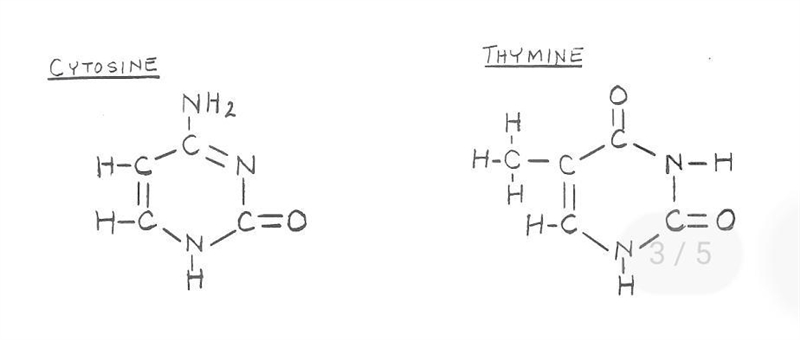 Bellow are structural formulas of cytosine and thymine which are called pyrimidines-example-1