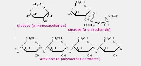 (((50 POINTS))) Analyze the image below of the various carbohydrate classifications-example-1