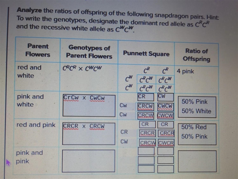 Complex patterns of inheritance, 10th grade4th problem: Pink and Pink-example-1