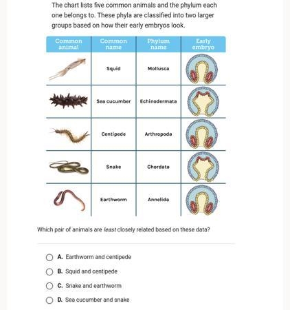 Help please and hurry-example-1