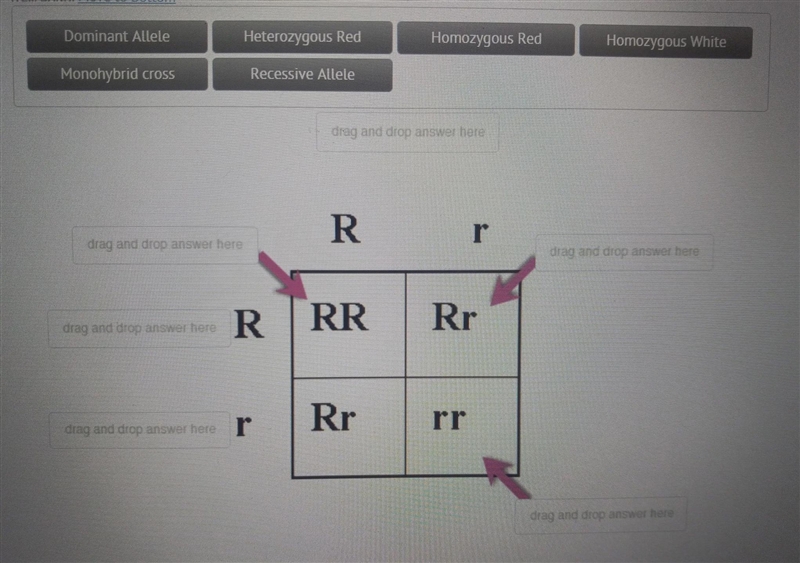 I need help matching please this is different-example-1