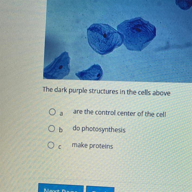 SCIENCE HELP!!!!ASAP-example-1