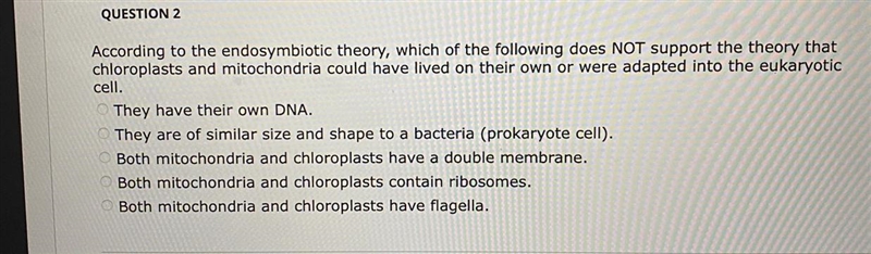 According to the endosymbiotic theory, which of the following does NOT support the-example-1