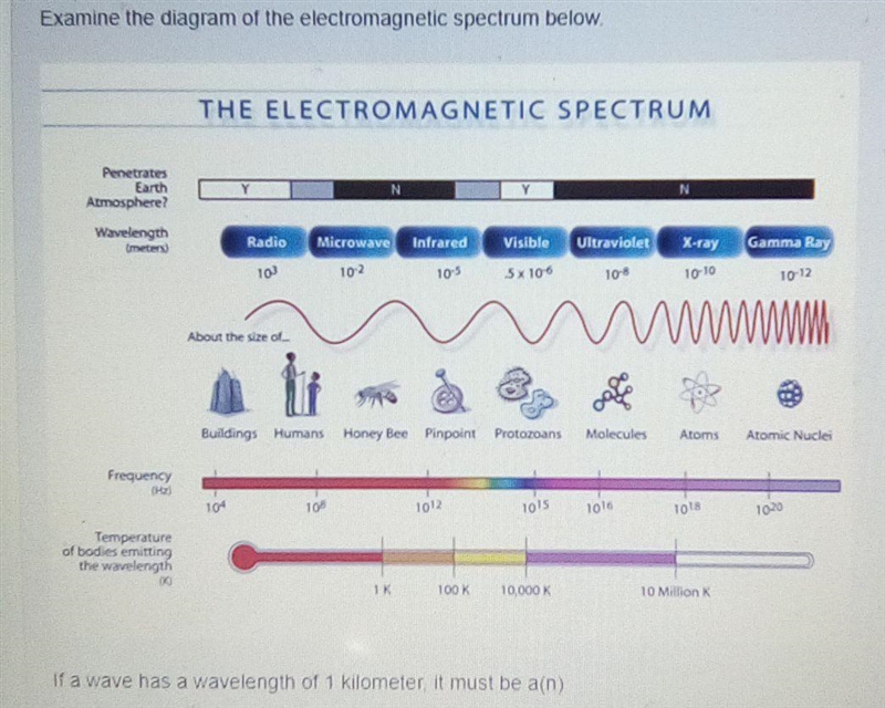 Gamma ray microwave rapido wave ray​-example-1