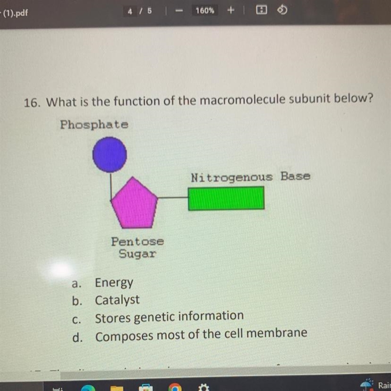 16. What is the function of the macromolecule subunit below? a. Energy b. Catalyst-example-1