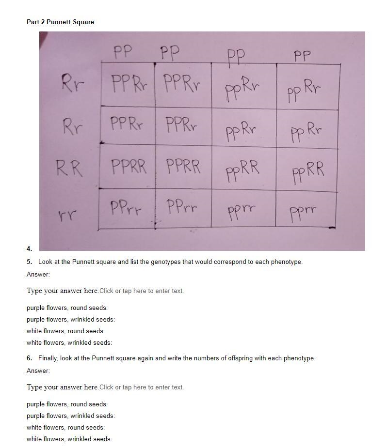 Finally, look at the Punnett square again and write the numbers of offspring with-example-1