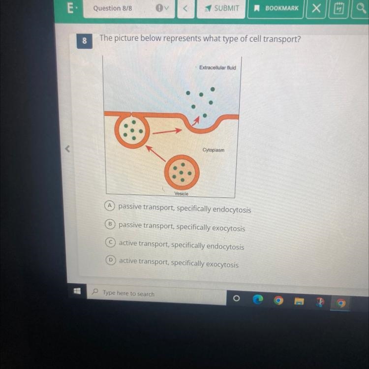 < 8 The picture below represents what type of cell transport? Vesicle Extracellular-example-1