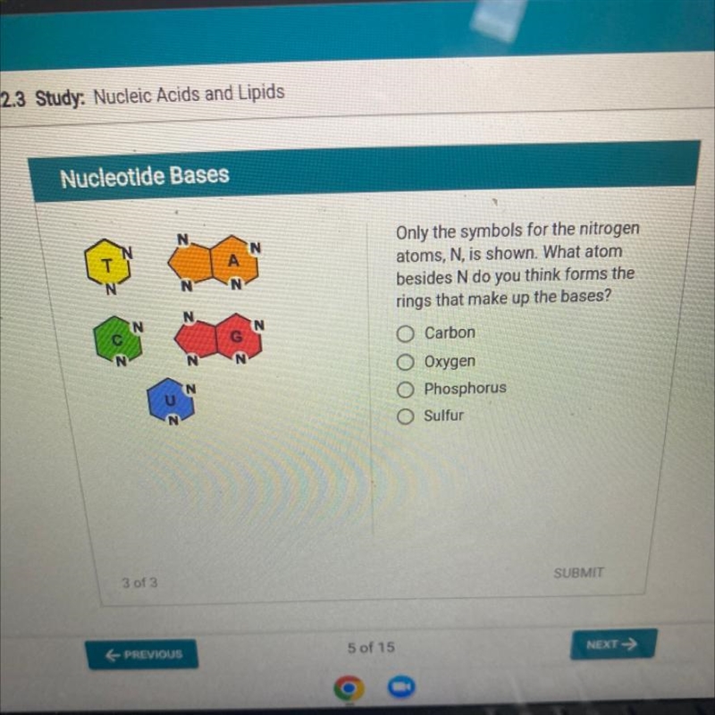 The symbols for the nitrogen atoms, N, is shown. What atom besides N do you think-example-1