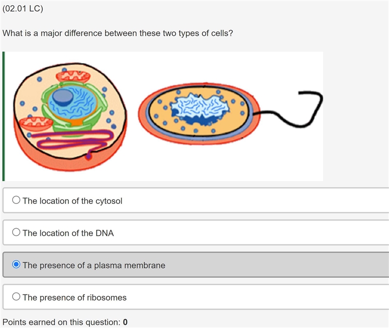 PLS HELP ME What is a major difference between these two types of cells? Image of-example-2