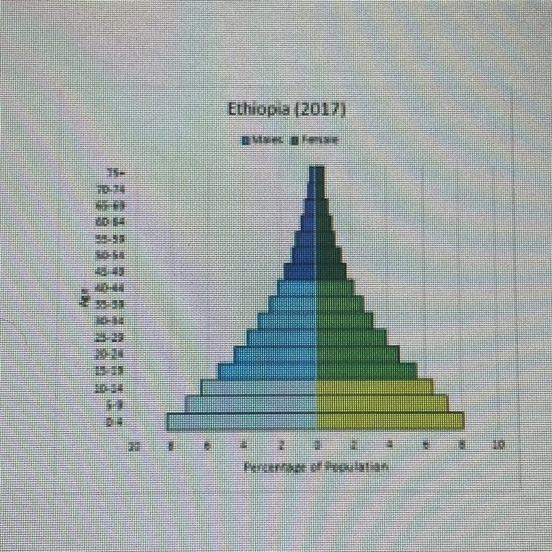 what type of growth is being experienced by ethiopia according to the age structure-example-1