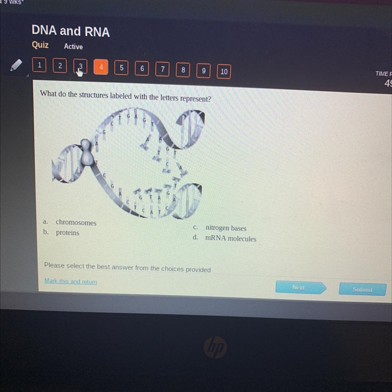 What do the structures labeled with the letters represent? a. chromosomes b. proteins-example-1