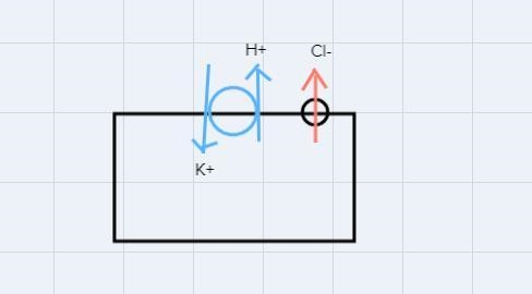 Draw an example in the human body of a) a strong acid b) a base The give an explanation-example-1