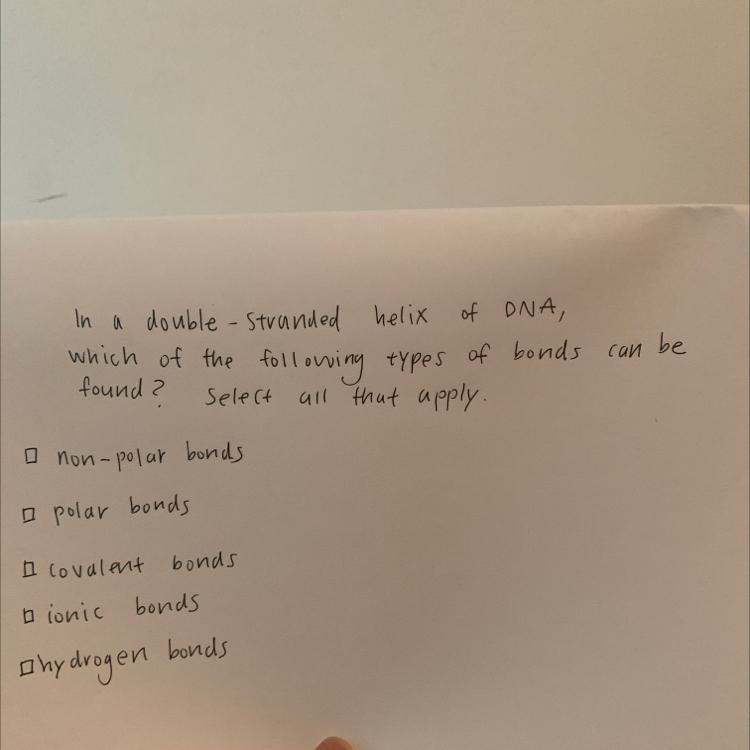 In a double-stranded helix of DNA, which of the following types of bonds can be found-example-1