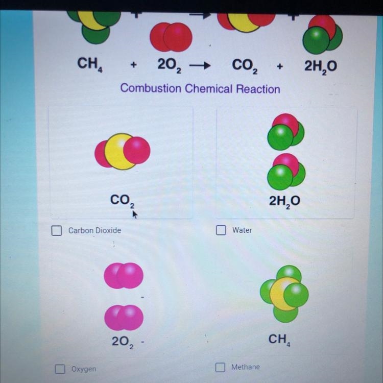 Biology question please help!-example-1