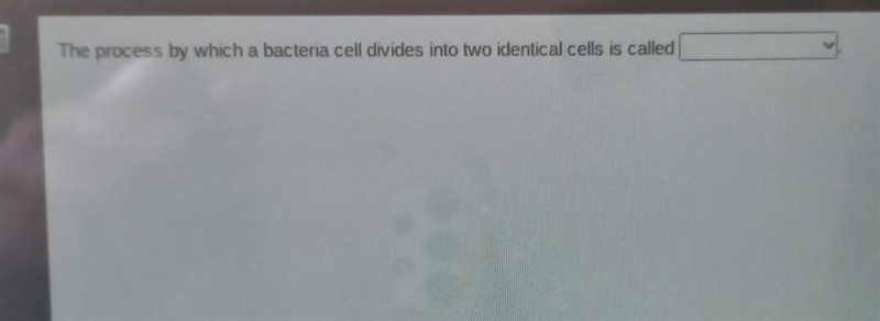 The process by which a bacteria cell divides into two identical ceis is called​-example-1