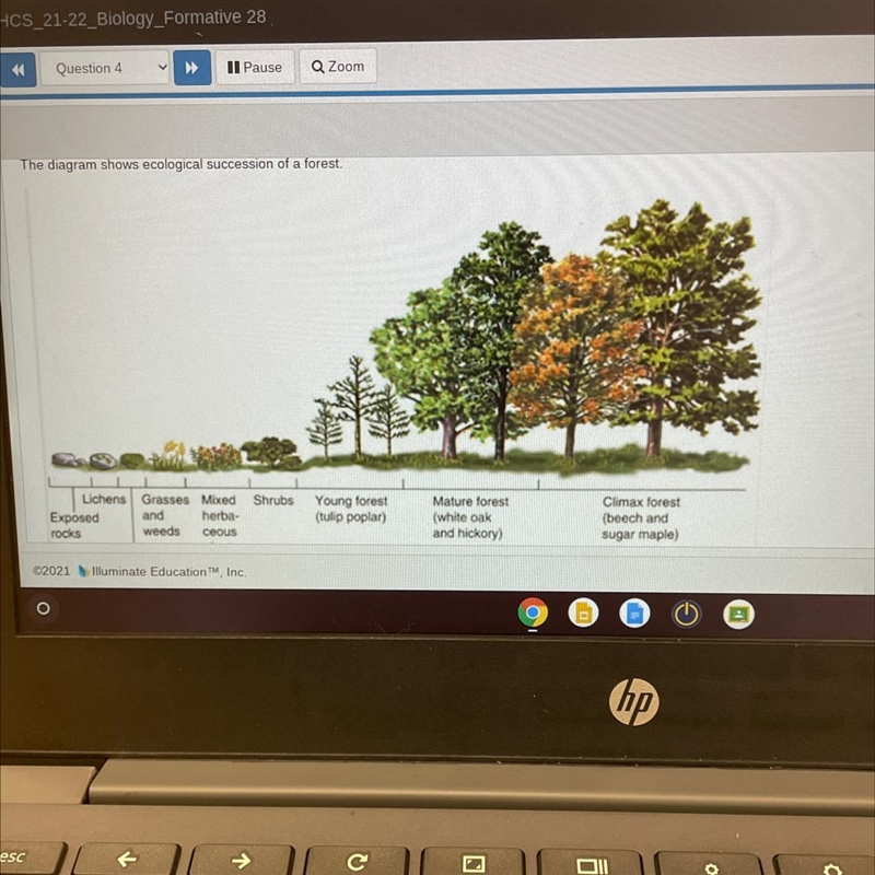 Which argument best describes one’s of the stages in the diagram A. The mature forest-example-1