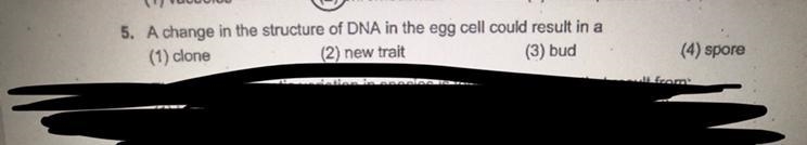 A change in the structure of DNA in the egg cell could result in a-example-1