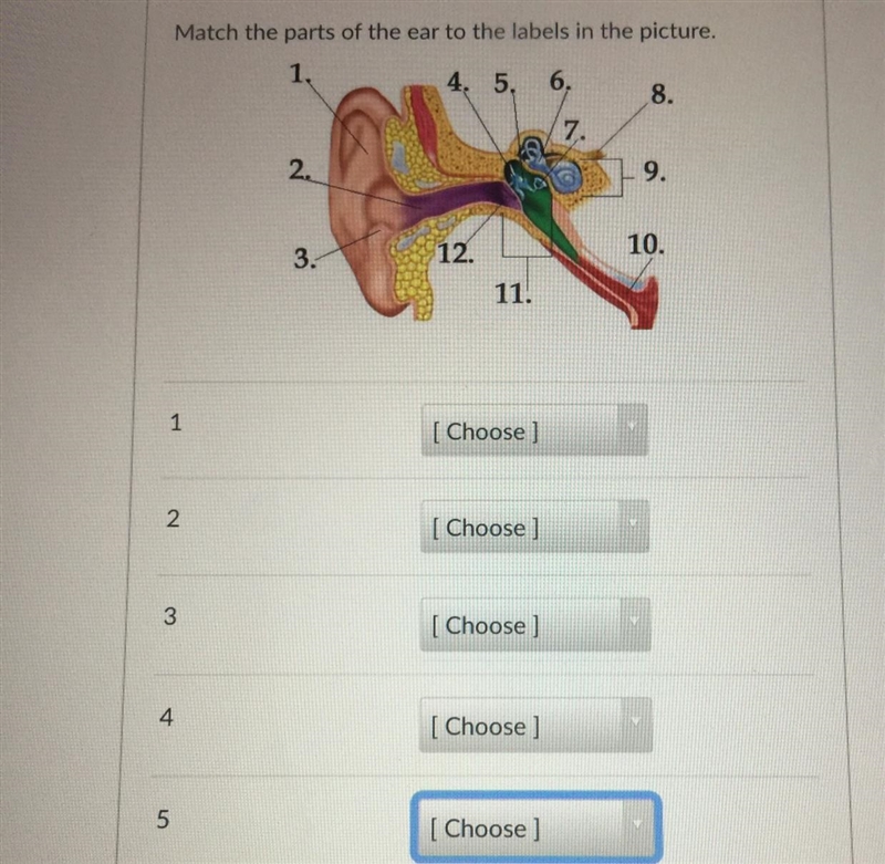 Can you please help me. For some reason it only goes to 5-example-1