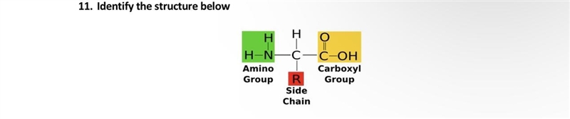 Identify the structure-example-1