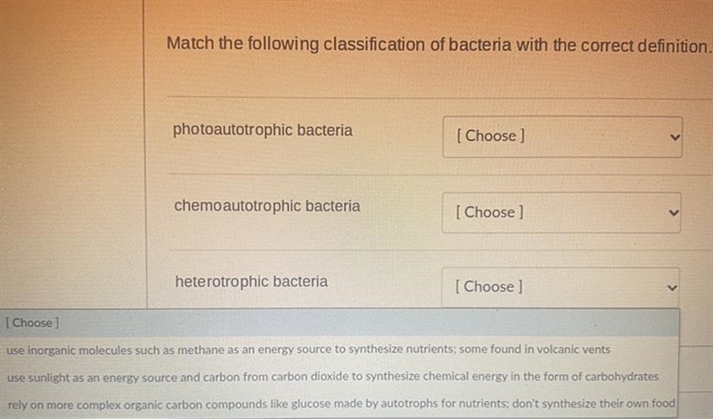 Match the following classification of bacteria with the correct definition, please-example-1