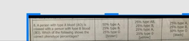 A person with type A blood (AO) is crossed with-example-1