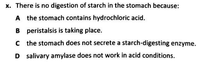 X. There is no digestion of starch in the stomach because: A the stomach contains-example-1