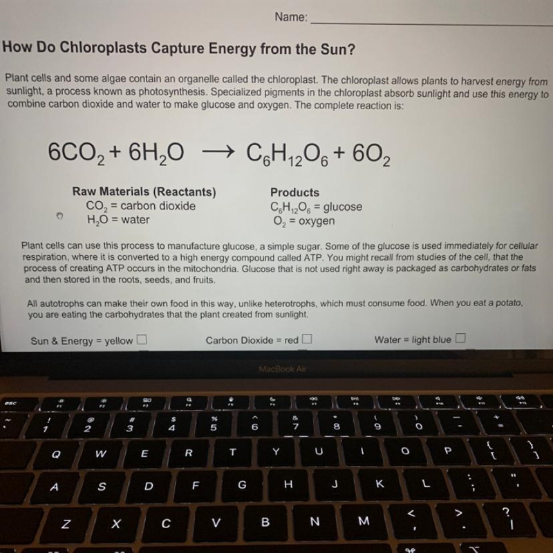 Please help 1. What two types of cells contain chloroplasts? 2. Autotrophs make their-example-1