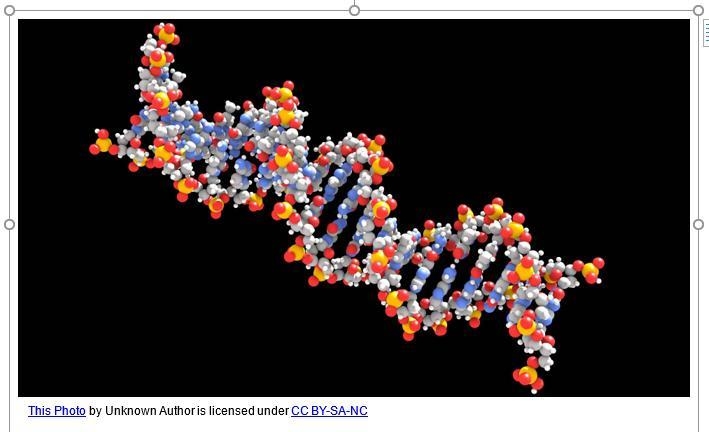 Please help me with this?Describe your DNA model. Which part do the straws represent-example-1