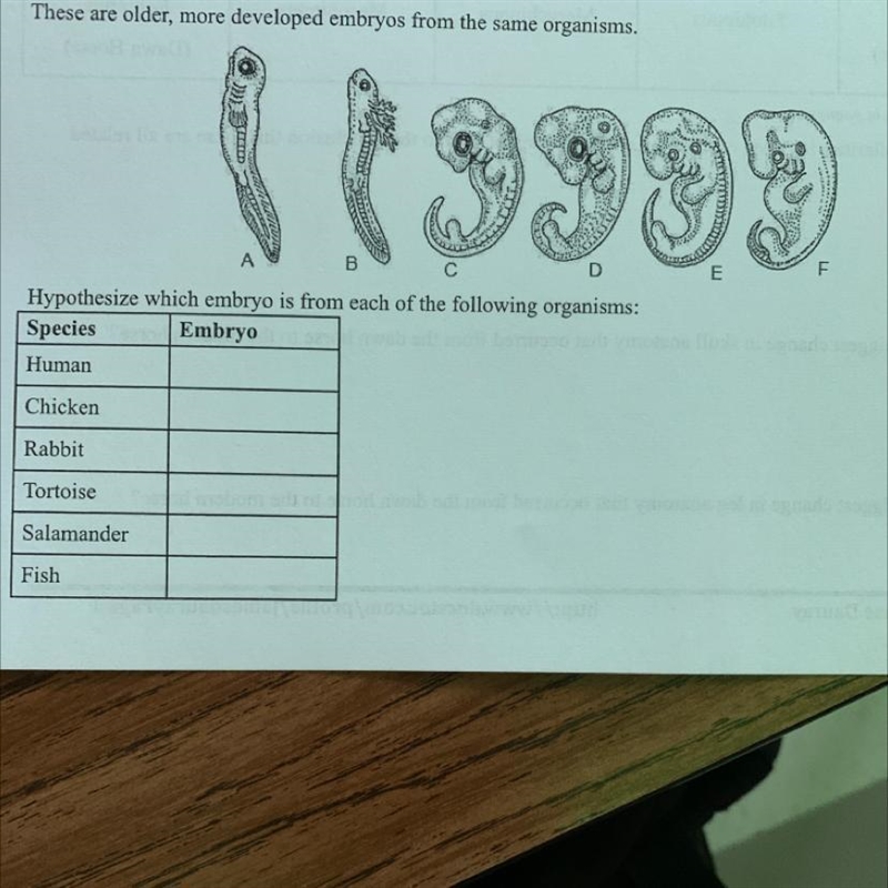 I need help with this please :(!-example-1